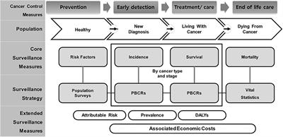 A scoping review on population-centered indicators for cancer care continuum